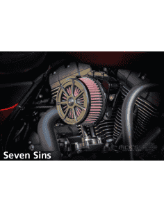 FILTRI ARIA RICK'S GOOD GUYS