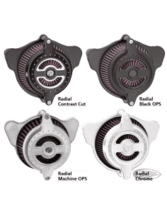 FILTRI ARIA RSD "BLUNT" 2