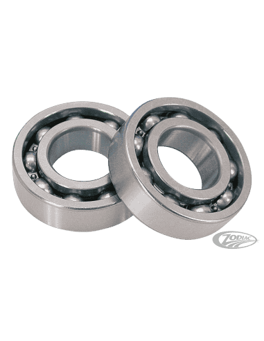 CUSCINETTI CAMMA ESTERNA PER TWIN CAM