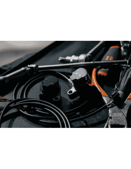 SELETTORE MODALITÀ DI GUIDA RBW-SKULL PER HARLEY-DAVIDSONS CON ACCELERATORE ELETTRONICO