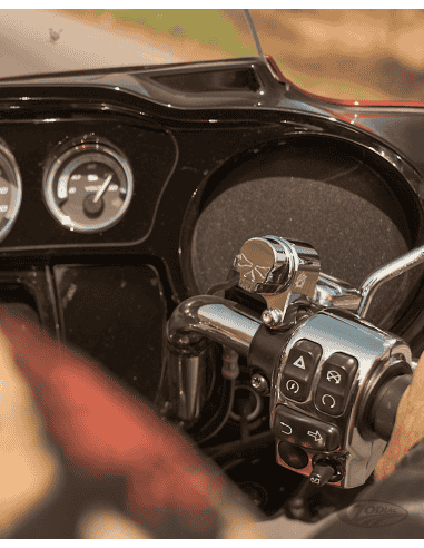 SELETTORE MODALITÀ DI GUIDA RBW-SKULL PER HARLEY-DAVIDSONS CON ACCELERATORE ELETTRONICO