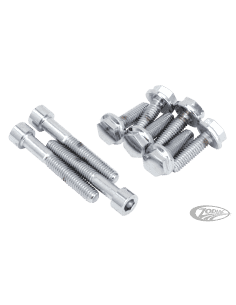 KIT VITI POMPA OLIO V-ROD