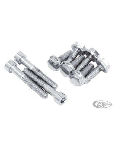 KIT VITI POMPA OLIO V-ROD