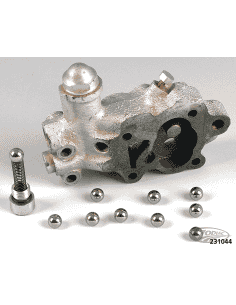 SFERA E MOLLA DELLA POMPA DELL'OLIO