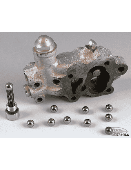 SFERA E MOLLA DELLA POMPA DELL'OLIO