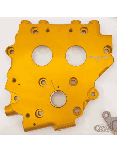 AGGIORNAMENTO PIASTRA CAMME IBRIDA PER TWIN CAM 1999-2006