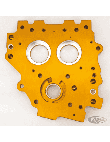 AGGIORNAMENTO PIASTRA CAMME IBRIDA PER TWIN CAM 1999-2006