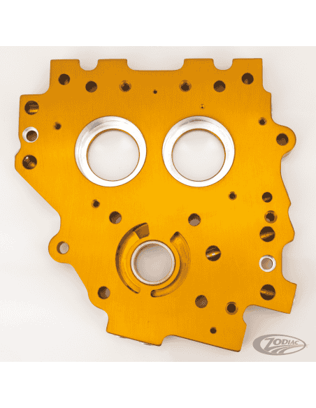 AGGIORNAMENTO PIASTRA CAMME IBRIDA PER TWIN CAM 1999-2006