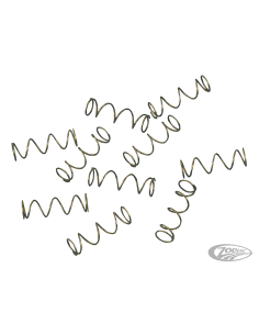 MOLLA DELLA RETICELLA DELL'OLIO