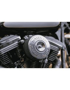 INSERTO FILTRO ARIA P16 POWERPLANT 2