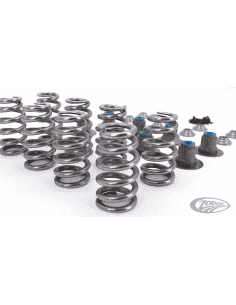 ALBERI A CAMME STAR RACING PER MILWAUKEE EIGHT 2