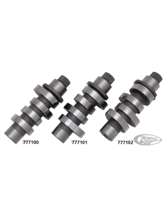 ALBERI A CAMME STAR RACING PER MILWAUKEE EIGHT