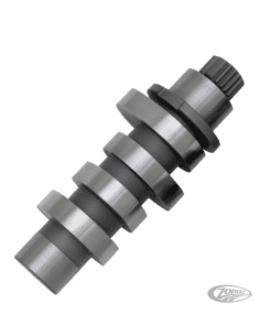 ALBERI A CAMME STAR RACING PER MILWAUKEE EIGHT 2