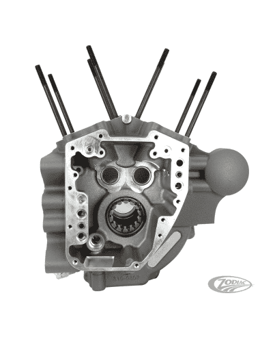 BASAMENTI S&S PER TOURING TWIN CAM 2007-2016