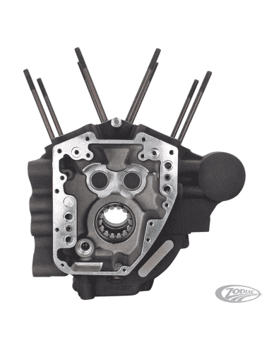 BASAMENTI S&S PER TOURING TWIN CAM 2007-2016