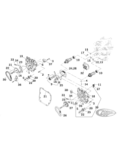 PARTI DISTRIBUZIONE CAMME A CATENA PER TWIN CAM RECENTI 2