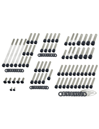 KIT VITI NERE IN ACCIAIO INOX PER MOTORE CAMBIO E PRIMARIA