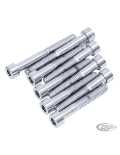 KIT VITI COPERTURA POMPA ACQUA PER V-ROD