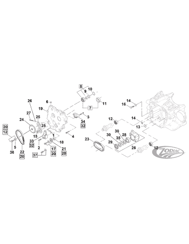 PARTI GUIDA CAMMA IBRIDA PER TWIN CAM 1999-2006