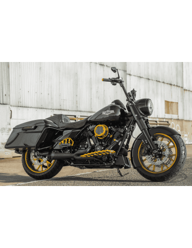 SCARICHI TWO BROTHERS RACING SHORTY 2 IN 1