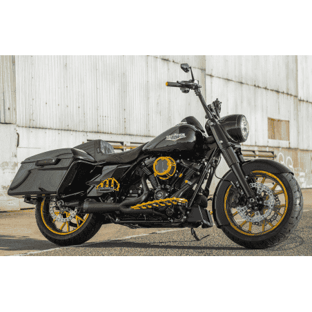 SCARICHI TWO BROTHERS RACING SHORTY 2 IN 1