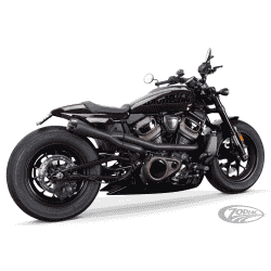 SCARICO TWO BROTHERS RACING PER SPORTSTER S RH1250 2