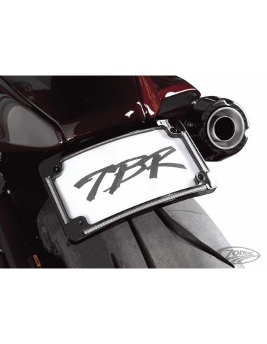 SCARICO TWO BROTHERS RACING PER SPORTSTER S RH1250