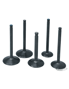 VALVOLE "BLACK DIAMOND" IN ACCIAIO INOX DA PRECISION MACHINING