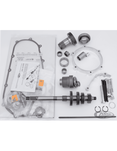 KIT DISASSAMENTO PRIMARIA PER DYNA 2006-2017 E SOFTAIL 2007-2017 CAMBIO 6 MARCE