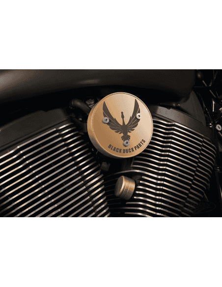 COPERTURE LATERALI MOTORE PER VICTORY DA BLACK DUCK