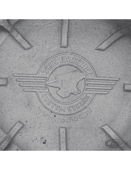 COPERTURA PRIMARIA THE FACTORY PER SPORTSTER