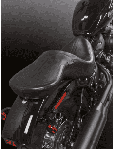 LE PERA MAVERICK PER SOFTAIL 2