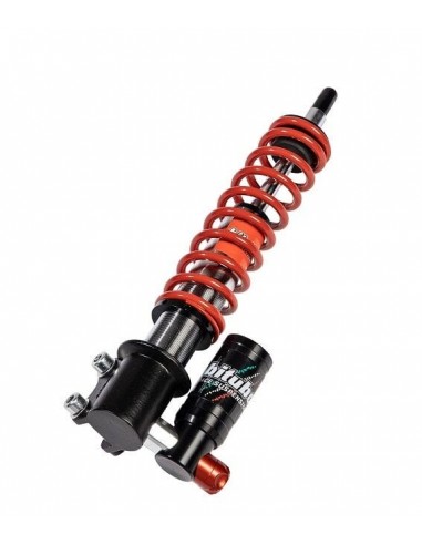 Sospensione anteriore vespa gts 125