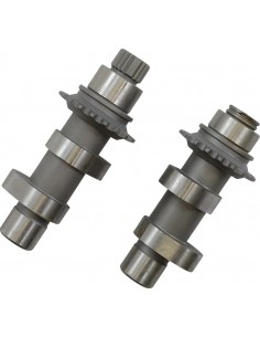 Alberi a camme di conversione 594 trasmissione a catena reaper twin cam