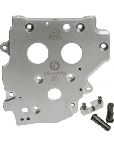 Trasmissione a catena camplate oe+