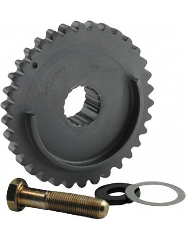 Pignone catena camma rr kt