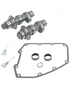 Set albero a camme 551c con trasmissione a catena