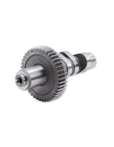 Sostituzione albero a camme