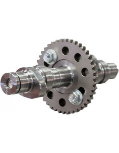 Albero a camme hp 650 re