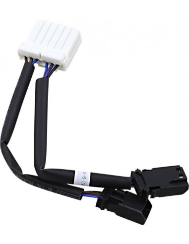 Cablaggio adattatore dynmc strp