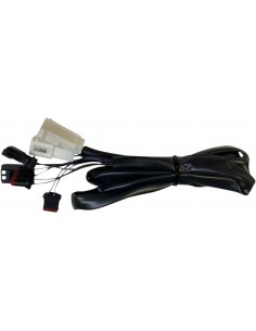 Cablaggio intgrtd fanale posteriore