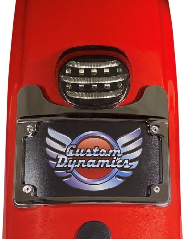 Fanale posteriore mini probeam smk