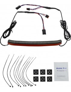 Fanale posteriore led c/tsignal sm