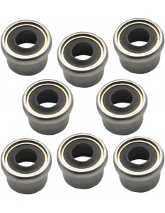 Tenuta guida valvola aspirazione/scarico