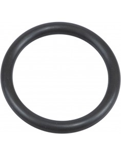 O-ring del collettore di aspirazione