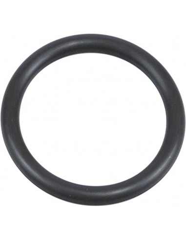 O-ring del collettore di aspirazione