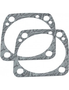 Modelli evoluzione guarnizione base con alesaggio 3.625".