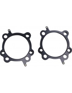 Guarnizione testa 4" .045 stl