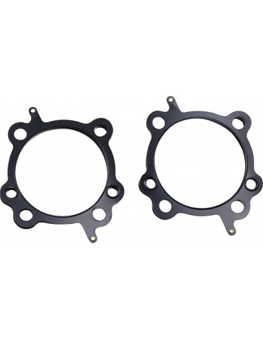 Guarnizione testa 4" .045 stl