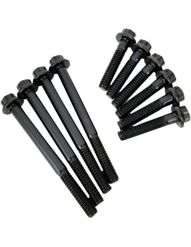 Kit pompa olio e fissaggio camplate per milwaukee 8